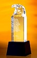 Awards / $260-$300