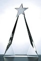 Award / $132